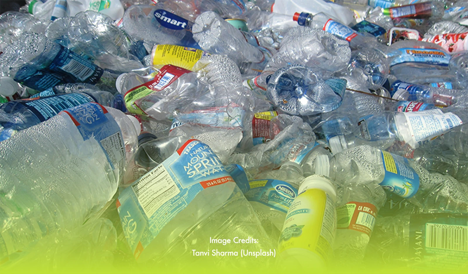 Sagay City Takes Bold Steps Towards a Greener Future with 'No Plastic Day'