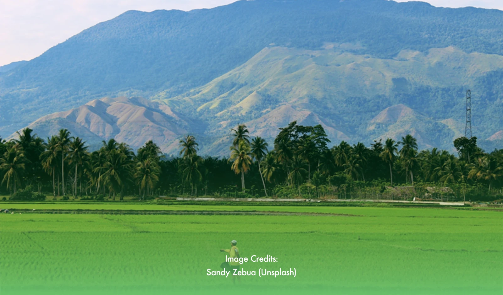 Revitalizing Agriculture in Eastern Mindanao