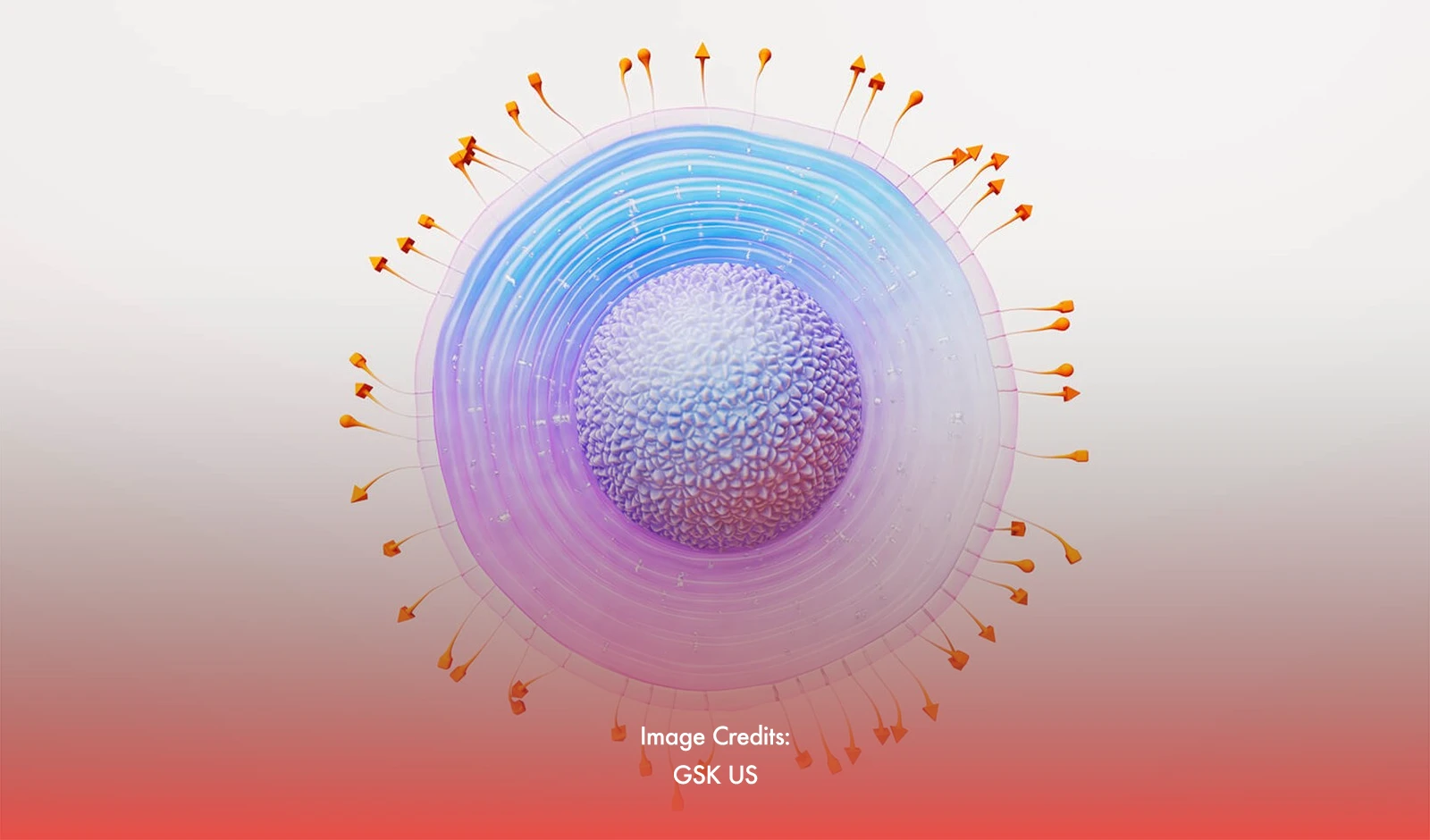 Understanding Shingles: GSK's Awareness Campaign