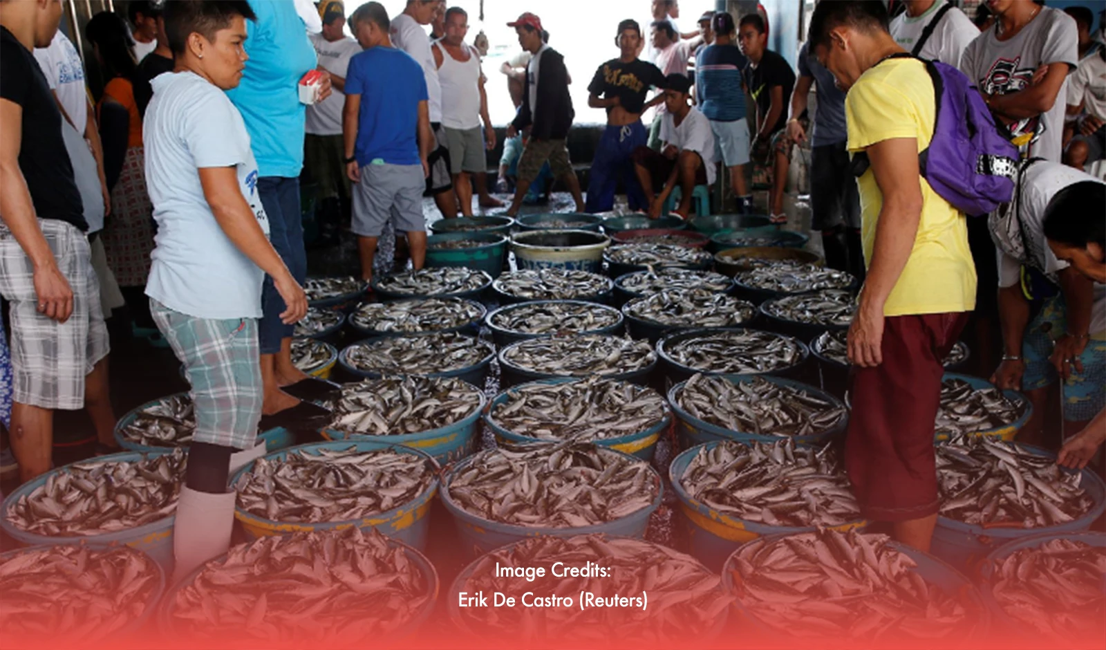 Navigating Navotas: The Fishing Capital of the Philippines