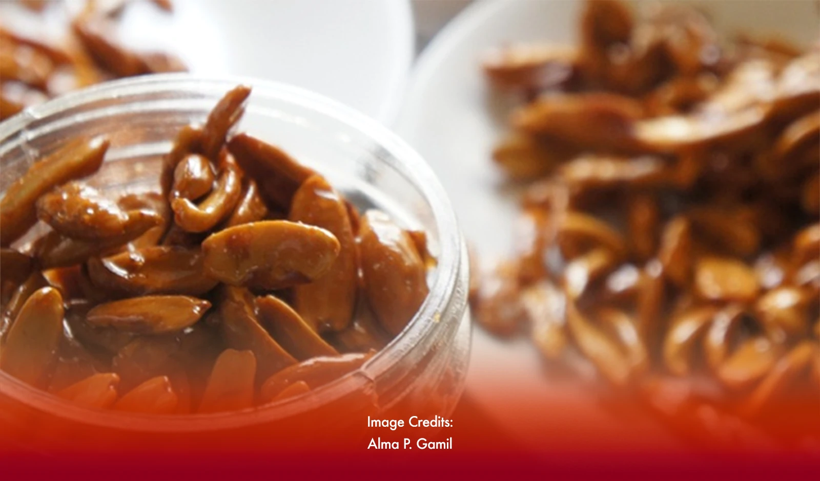 How Pili Nuts Symbolize Delight In Sorsogon