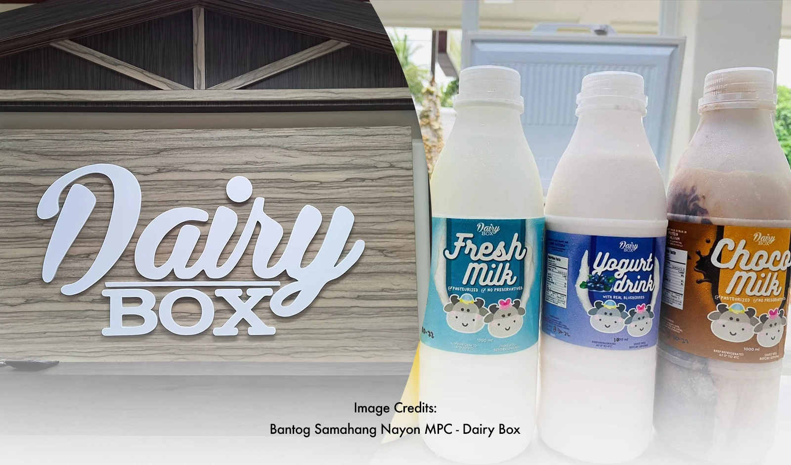 Empowering Rural Communities Through Carabao Milk