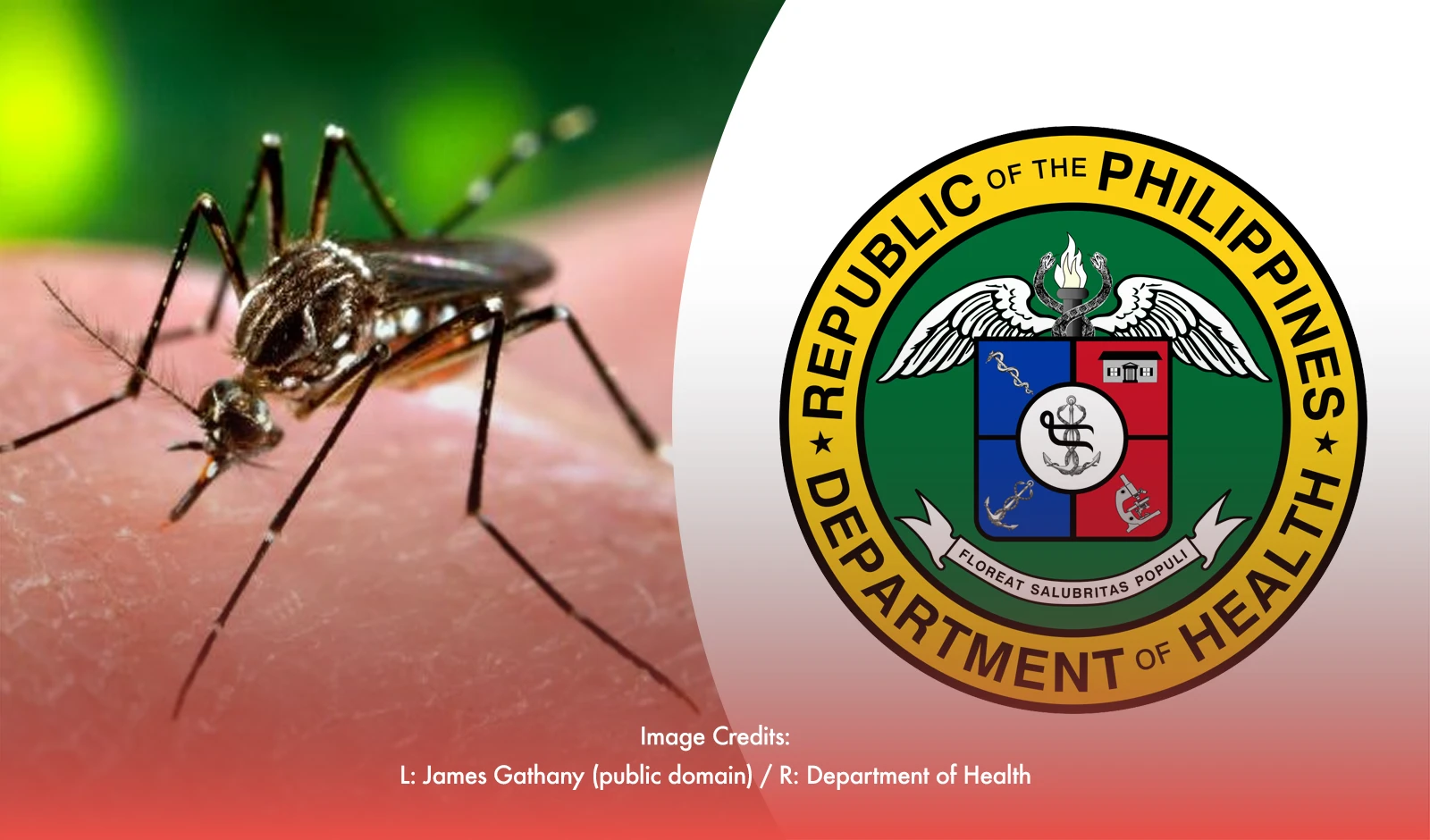 DOH Raises Alarm on Dengue Spread: Urges Public Caution
