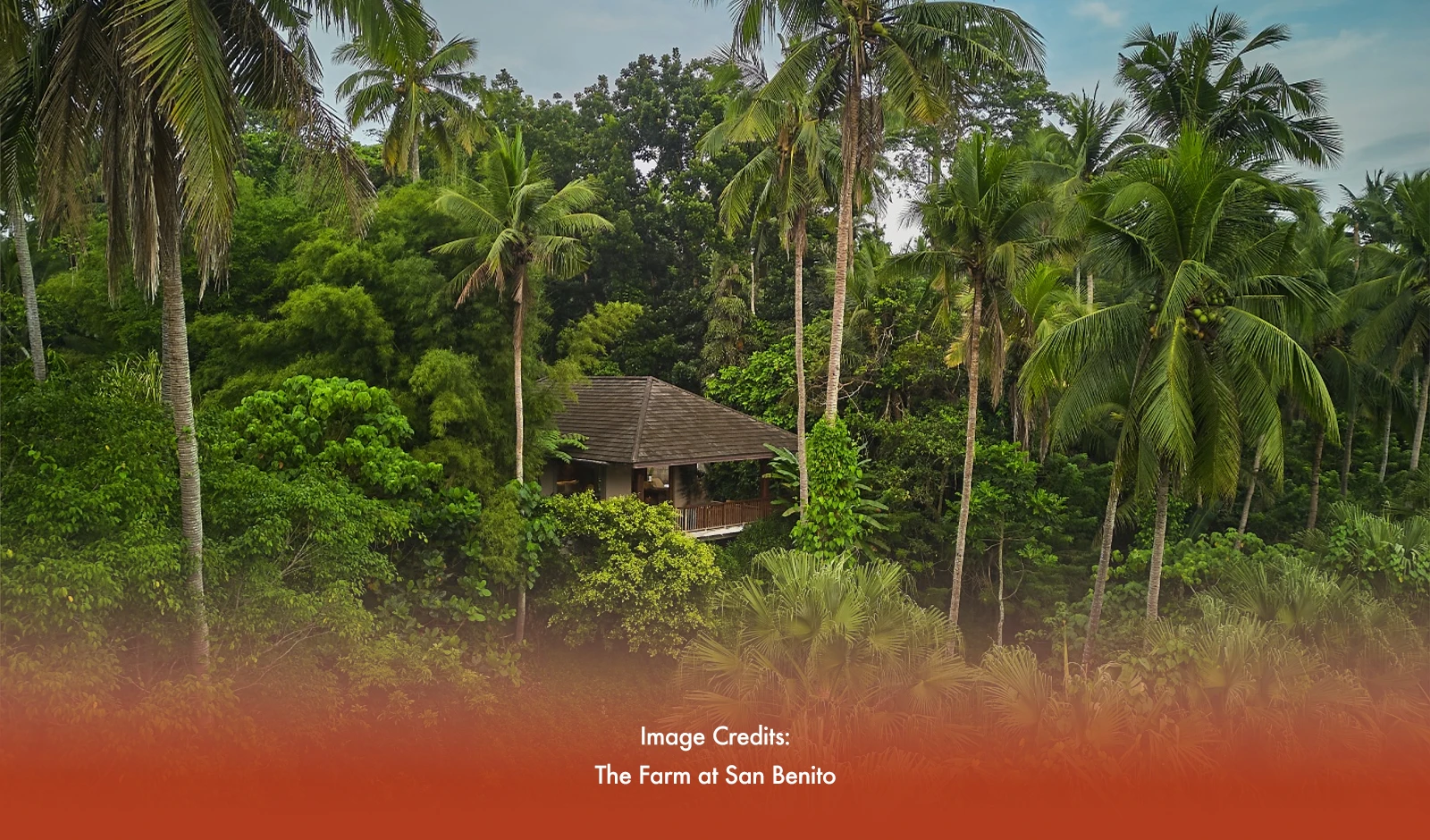 Megaworld And The Farm At San Benito Launch P12-B Wellness Township In Batangas