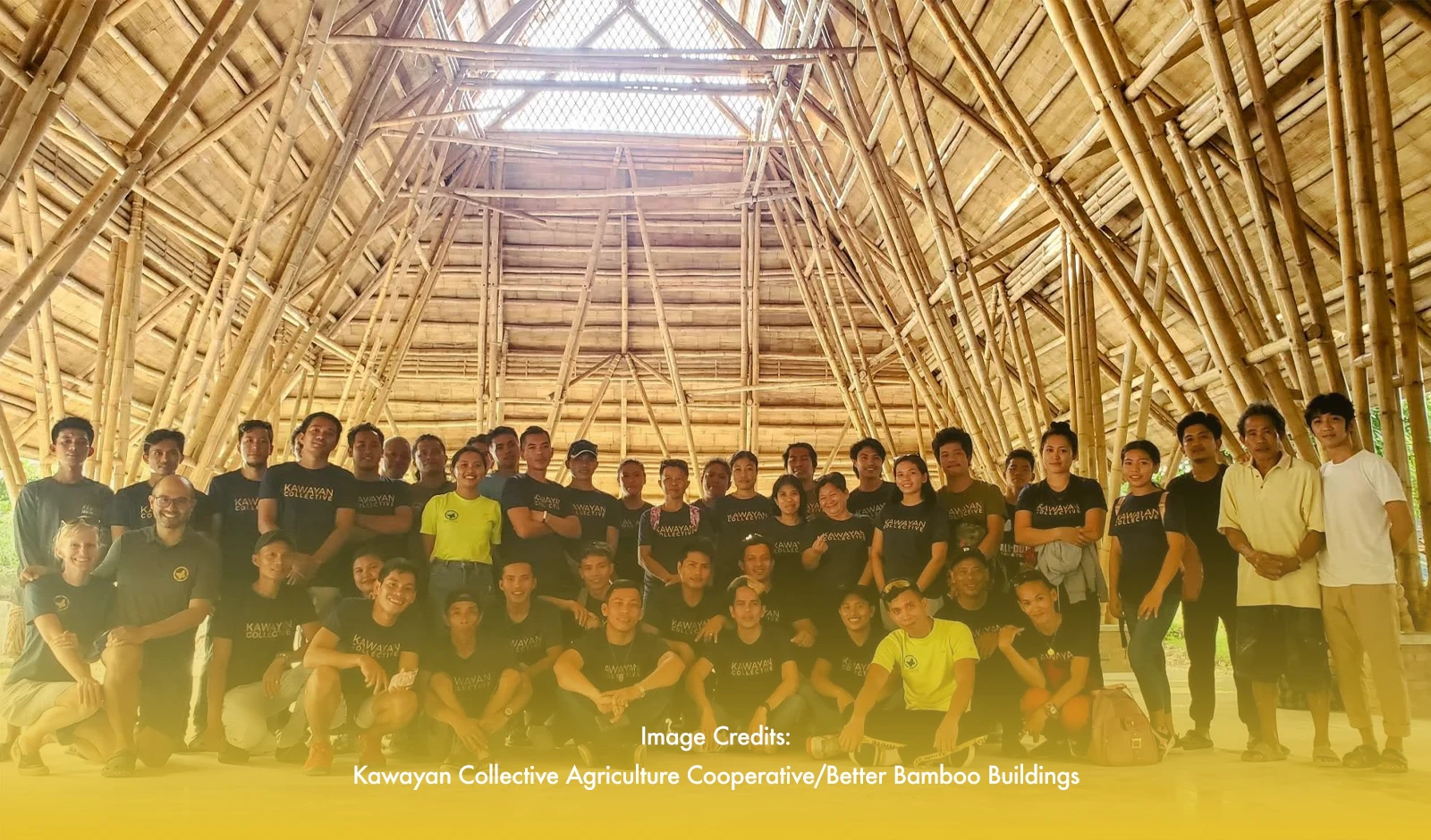 Negros Oriental Bamboo Industry Growing, DTI says