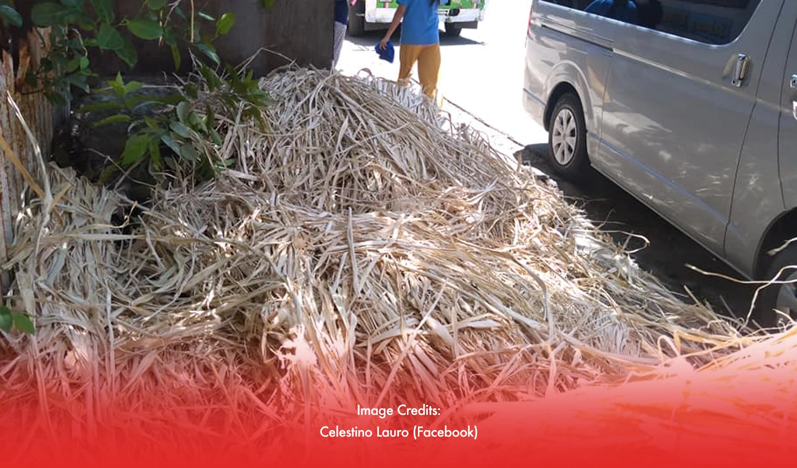 Central Visayas Farmers Seek To Increase Fiber Production Through New Sources