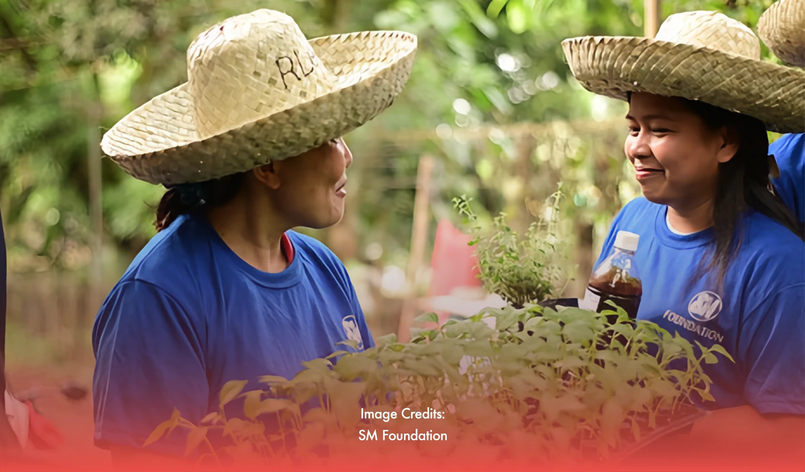 SM Foundation's Training Plants Seed Of Hope To Farmers