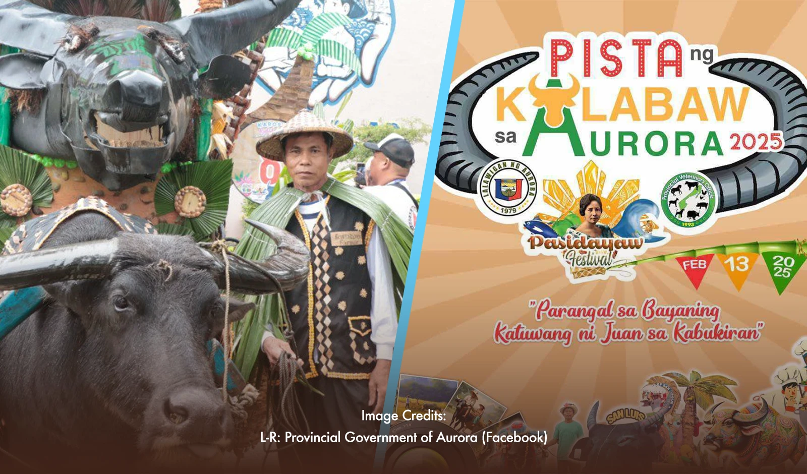 Aurora Celebrates The Carabao In Colorful Festival