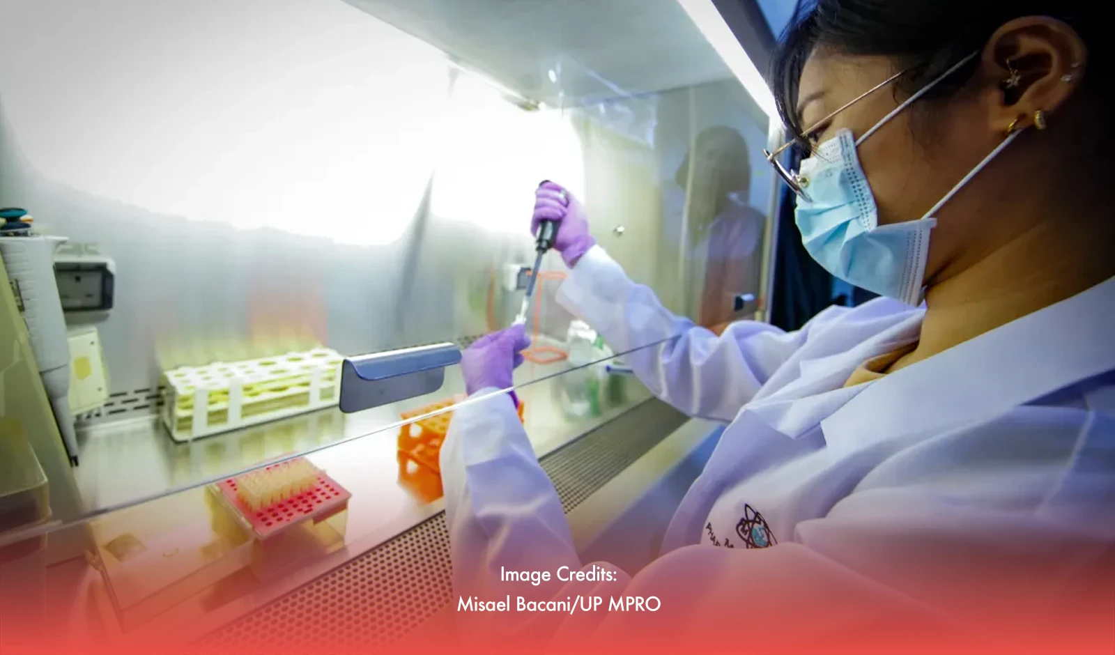 Filipino Scientists Uncover Marine Sponge’s Potential In Cancer Treatment