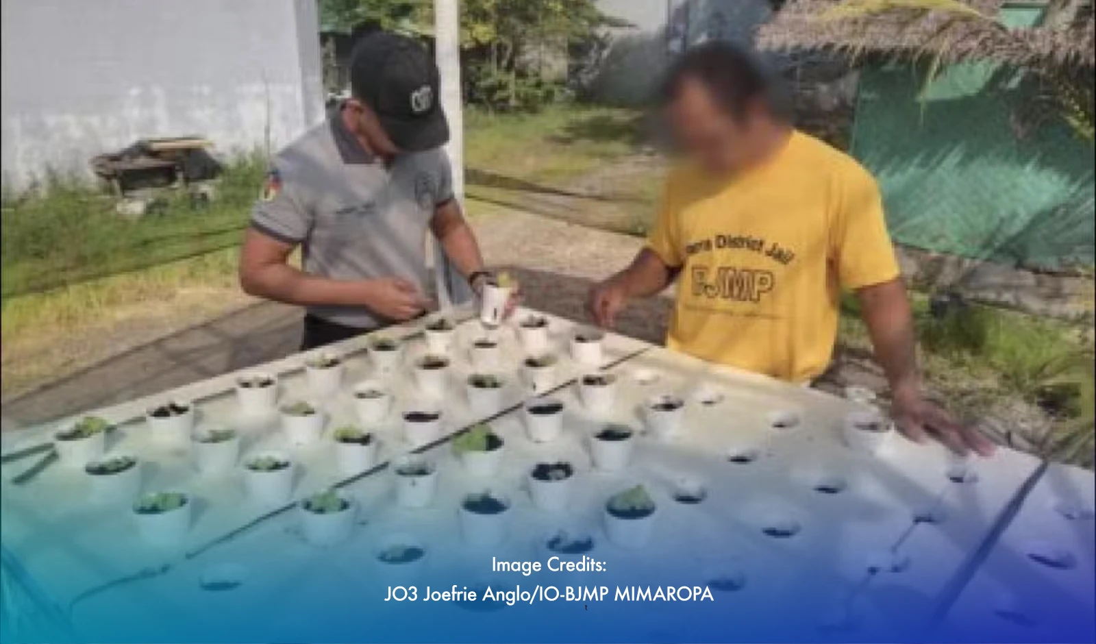 Palawan Inmates Learn To Grow, Heal, And Rebuild Through Farming