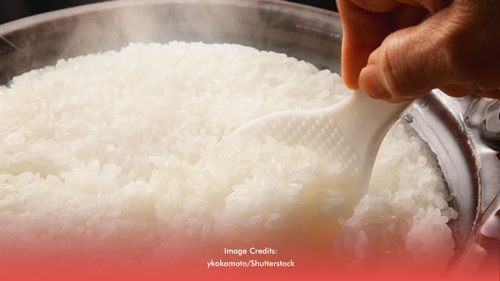 More Than Just Ulam’s Best Friend: The Story Of Rice In Filipino Culture